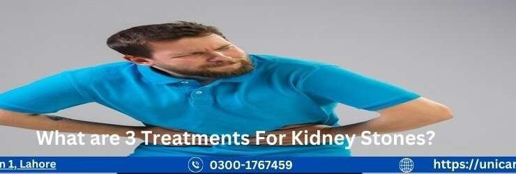 What are 3 Treatments For Kidney Stones